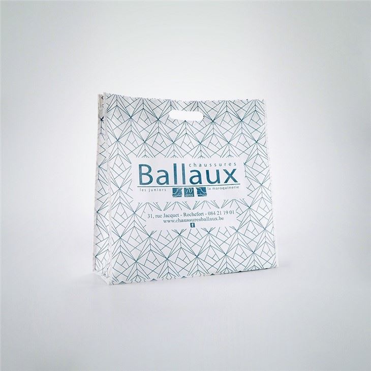 Cheap PP Non Woven Bag