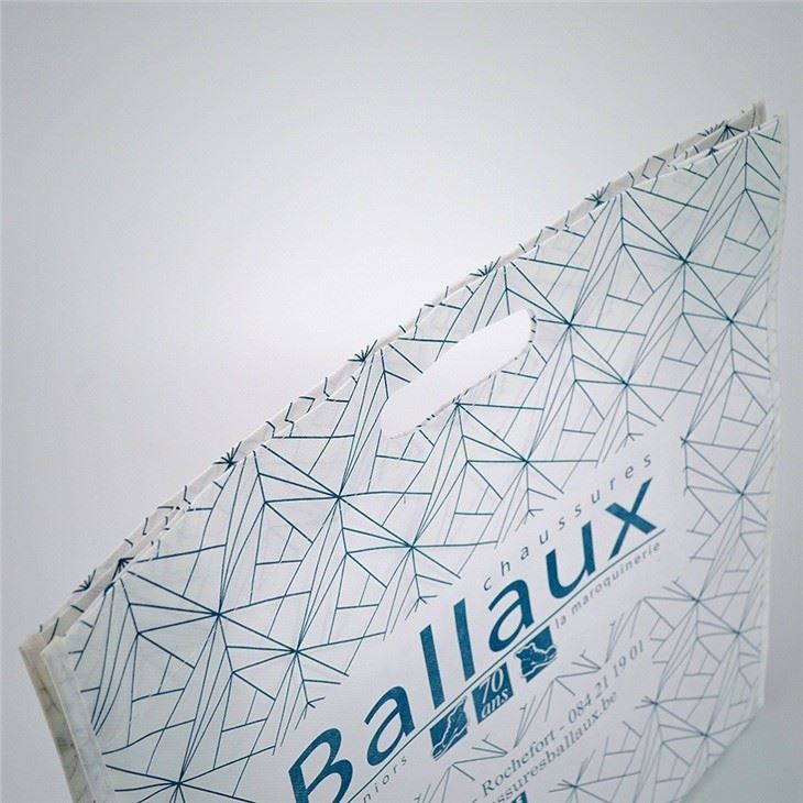 PP Non Woven Bag