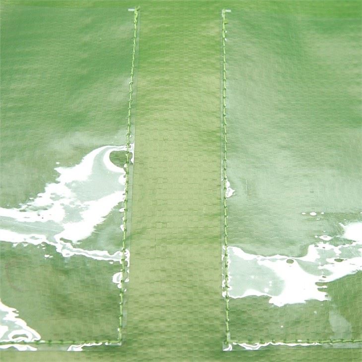 Reusable PP Promotional Bag